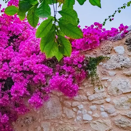 The Venetian Walls 'central House With Private Courtyard - Charmy & Cheap' Heraklion (Crete)